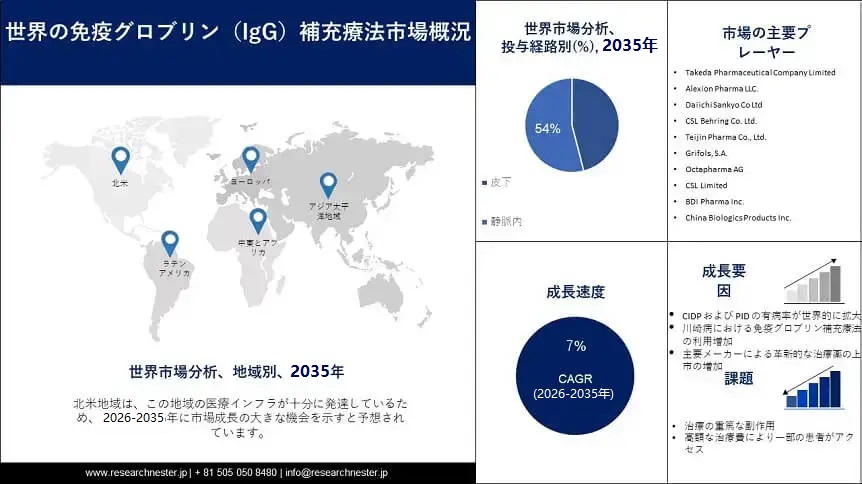 Immunoglobulin Replacement Therapy Market